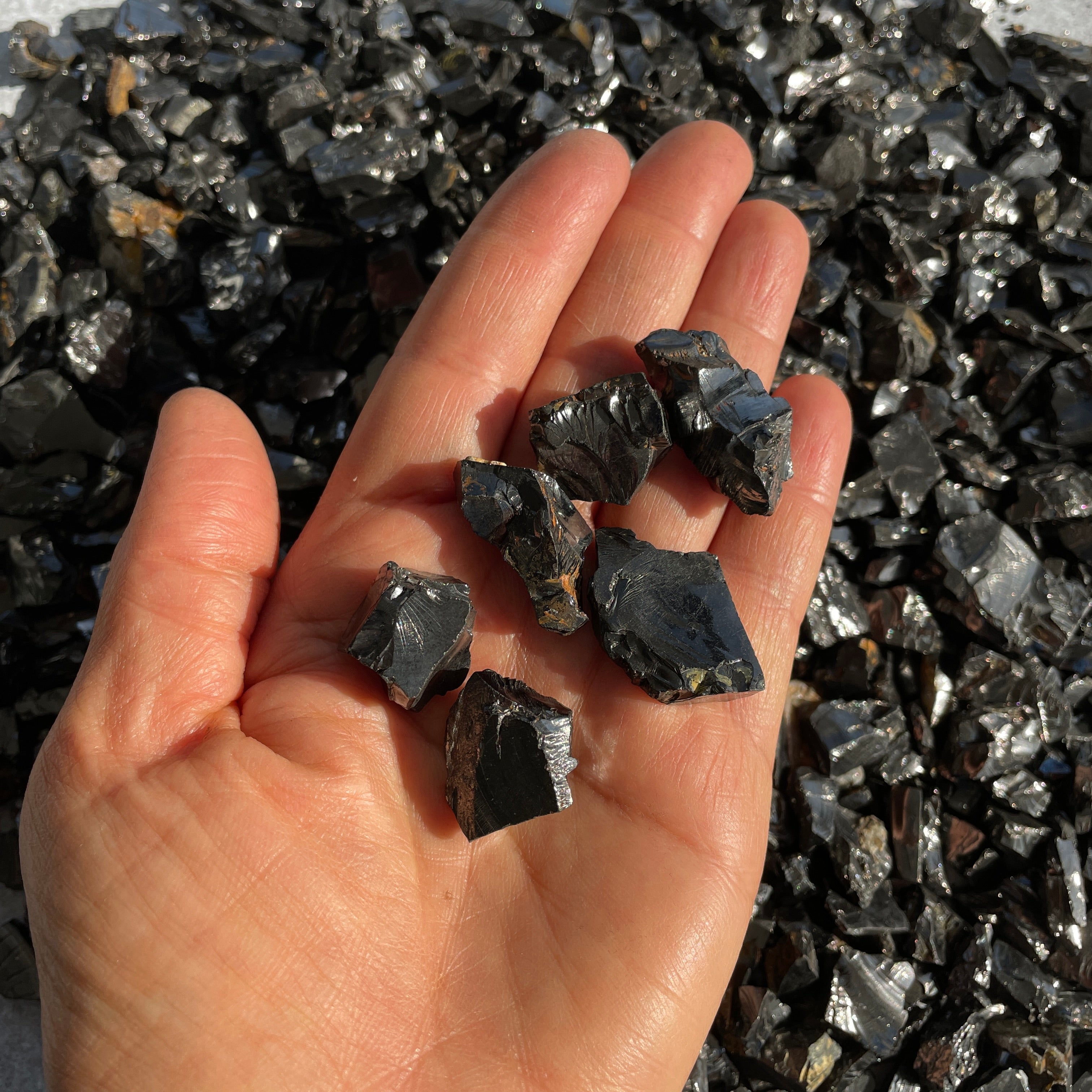 Shungite-Noble/Elite-Large(2-3cm)- 1pc Shungite-Noble/Elite-Large(2-3cm)- 1pc